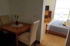 Apartmaji ABA Apartma 3 – ABA3 2+1 foto 4