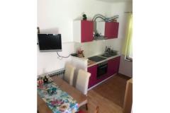 Apartmaji Danka Apartma 1 – Danka 1 foto 3