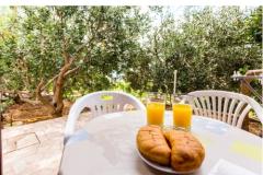 Apartmaji Iva Brstilo Stanići Apartma 1 – A1 foto 5