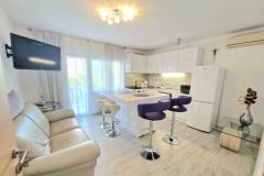 Dizma Wellness Apartmaji Apartma 3 – Renić foto 1
