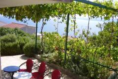 Apartmaji Peter Apartma 1 – APP 1 foto 2