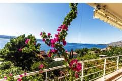 Villa Boris Apartma 1 – Ap.1+2 foto 2