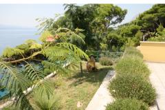 Villa Mandolina Apartma 1 – Ap. A (EG) foto 4