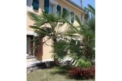 Apartmeni Gobac Apartma 3 – MALI foto 1