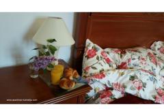 Apartma Kamelija Apartma 1 – Kamelija foto 2