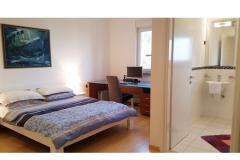 Villa and Bungalow Jovic Apartma 1 – Luxery sui foto 4