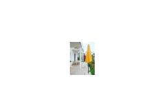 Apartmaji Tonko Apartma 1 – apartman foto 4