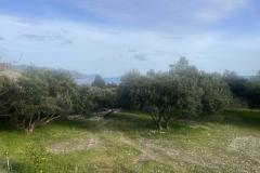 Sun Vila Apartma 4 – Kuća foto 1