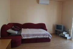 Apartmaji Dalma Apartma 1 – studio foto 2