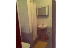 Apartmaji Ivana Apartma 1 – Apartman 2 foto 4