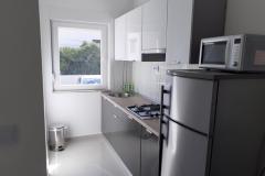 Apartmaji Mimar Apartma 1 – A1 foto 5