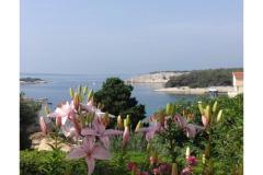 Apartmaji Zeljka Apartma 1 – A foto 4