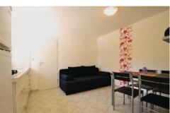 Apartmaji Petrović Apartma 2 – Apartman 3 foto 1