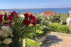Apartmaji Villa Ana Apartma 3 – A5 foto 5