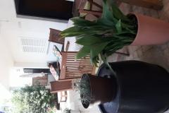 Lola Apartma 1 – A4+1 foto 2
