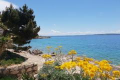 Stargo Apartmaji Apartma 1 – Yellow foto 3