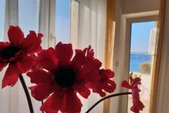 Stargo Apartmaji Apartma 2 – Blue foto 2