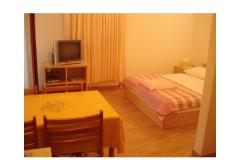 Aparmani Žile Apartma 3 foto 1