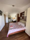 Apartmaji Sekana Apartma 1 – A 2+1 foto 2