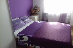 Apartmaji Vitrenik Apartma 4 – a5 foto 5