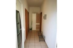 Apartmaji koko-seline Apartma 3 – Camelia foto 1