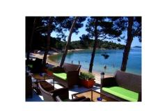 Apartma Mediteran Apartma 1 – MEDITERAN foto 2