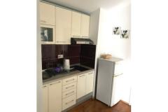 Apartmaji Andrejka Apartma 1 – A2+1 foto 3