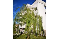 Apartmaji Dalmacija Apartma 2: (2+2) – apartman 2 foto 1