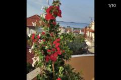 Apartmaji Iva Apartma 3 – App 7+1 foto 2