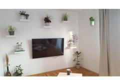 Rasin Apartmaji Apartma 1 – N5 foto 2