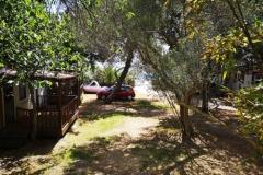 Pakoštane Apartmaji Vulin Apartma 3 – mobilna foto 1
