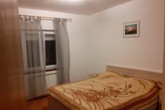 Apartmaji Alicia Apartma 2 – A2 foto 4