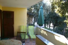 Apartmaji Dani Apartma 2 – A2 foto 2