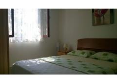 Apartmaji Dani Apartma 1 – A1 foto 2