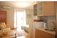 Vila Emila Apartma 1 – A3 foto 1