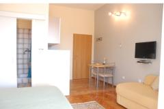 Vila Emila Apartma 1 – A3 foto 3