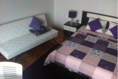 Apartmaji Meic Apartma 1 – Lavanda foto 5