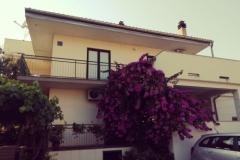 Apartmaji Danica Apartma 1 – APP 1 foto 1