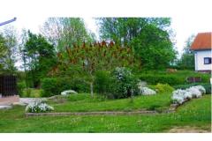 Blazenka Hodak Apartma 2 – APP 2 foto 4