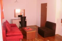 Vila Čančar Apartma 1 – Apartman 1 foto 3