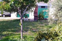 Apartma Sumić Apartma 1 – Vespa foto 2