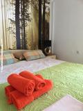 Apartmaji Panorama Apartma 3 – Apartman 3 foto 3