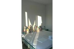 Apartmaji Pivac Apartma 2 – ZELENI foto 2