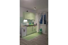 Apartmaji Pivac Apartma 2 – ZELENI foto 5