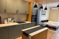 Apartmaji Zorko Apartma 3 – DRAGUTIN foto 3