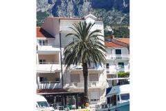 Palm tree apartman Apartma 1 – Palm tree foto 1