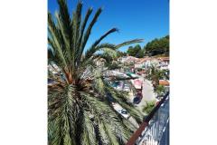 Palm tree apartman Apartma 2 – Palma foto 1
