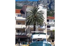 Palm tree apartman Apartma 2 – Palma foto 2