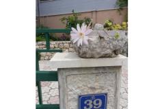 Rako Apartmaji Marilka Apartma 3 – APARTMAN 2 foto 1