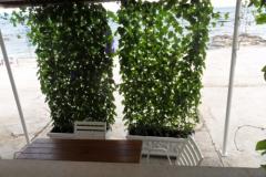 Apartmaji Car-Bruna Apartma 3 – Apartman 5 foto 1